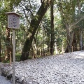 実際訪問したユーザーが直接撮影して投稿した宇治館町神社風日祈宮の写真