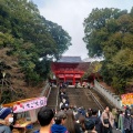 実際訪問したユーザーが直接撮影して投稿した神宮町神社近江神宮の写真