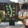 実際訪問したユーザーが直接撮影して投稿した大路公園草津川跡地公園 de愛ひろば(区間5)の写真