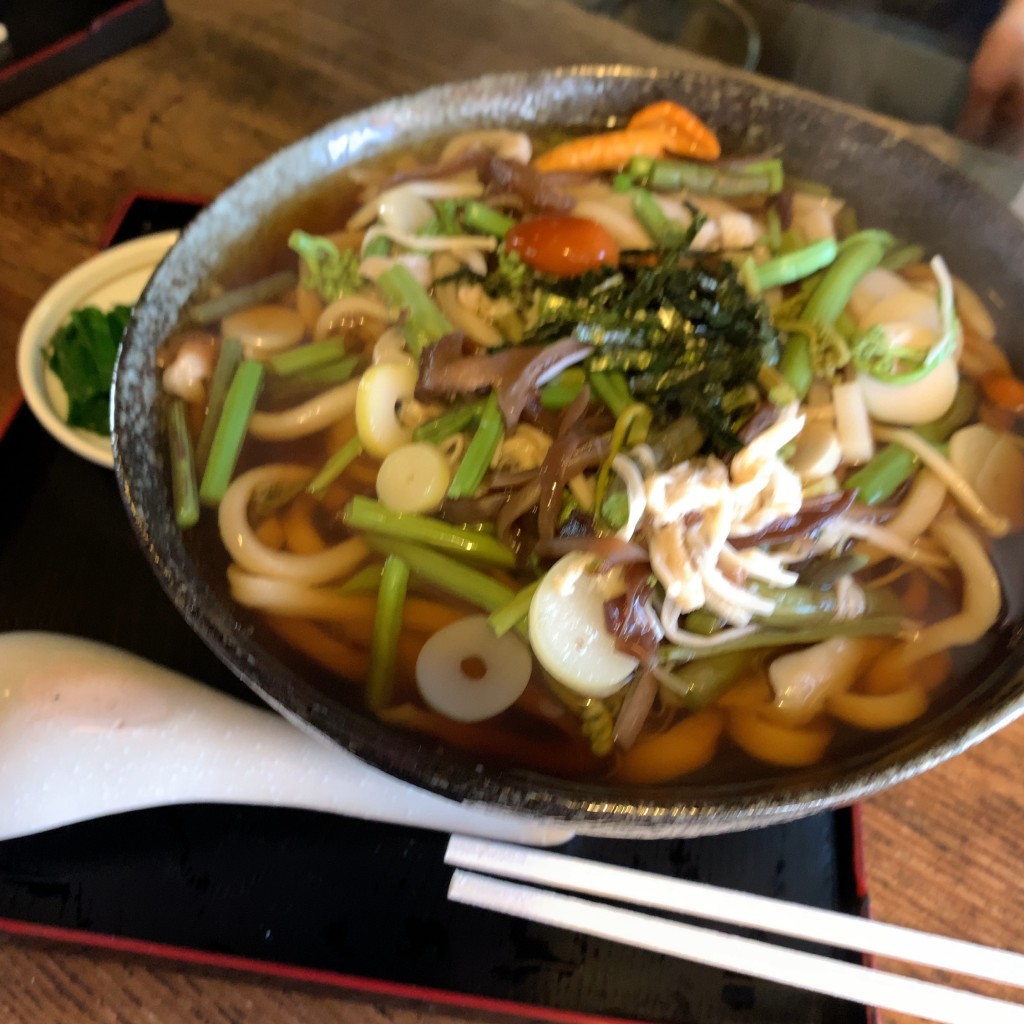 ユーザーが投稿した山菜うどん(かけ)の写真 - 実際訪問したユーザーが直接撮影して投稿した片山うどんうどんや藤の写真