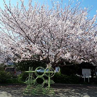 実際訪問したユーザーが直接撮影して投稿した辻堂公園初多良公園の写真