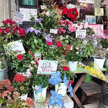 実際訪問したユーザーが直接撮影して投稿した春日原北町園芸用品 / 植木・苗木花物語春日店の写真