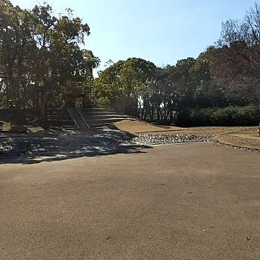 実際訪問したユーザーが直接撮影して投稿した金岡町公園大泉緑地 わんぱくランドの写真