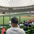 実際訪問したユーザーが直接撮影して投稿した上山口スポーツ関連埼玉西武ライオンズの写真