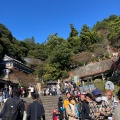 実際訪問したユーザーが直接撮影して投稿した早崎町島竹生島の写真