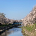 実際訪問したユーザーが直接撮影して投稿した河川地蔵川の写真