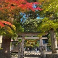 実際訪問したユーザーが直接撮影して投稿した荻町神社白川八幡神社の写真