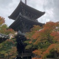 実際訪問したユーザーが直接撮影して投稿した浄土寺真如町寺真如堂の写真