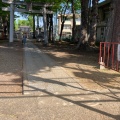 実際訪問したユーザーが直接撮影して投稿した東大泉神社北野神社の写真