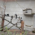 実際訪問したユーザーが直接撮影して投稿した安佐町大字動物園動物園広島市安佐動物公園の写真