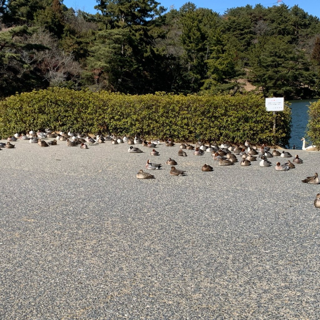 実際訪問したユーザーが直接撮影して投稿した田井湖沼 / 池赤松池の写真