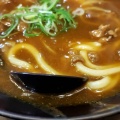 カレーうどん - 実際訪問したユーザーが直接撮影して投稿した難波うどんなんばうどんの写真のメニュー情報