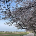 実際訪問したユーザーが直接撮影して投稿した中島散策路宮川堤の写真