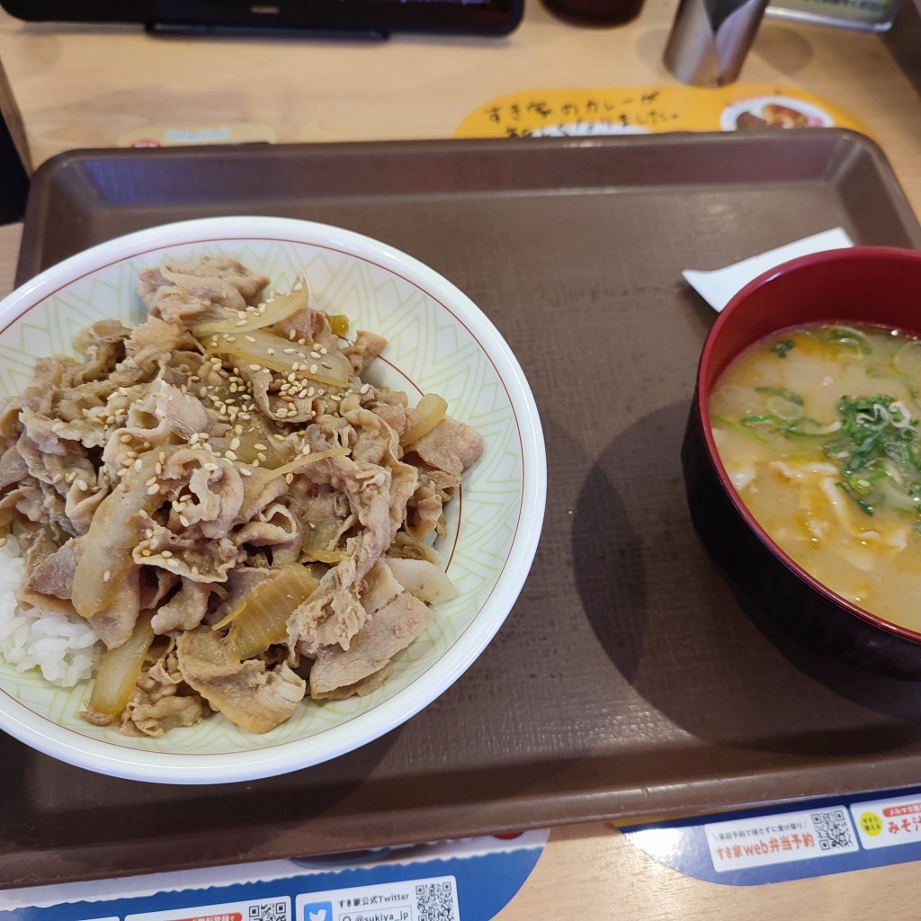 ユーザーが投稿した豚丼中盛の写真 - 実際訪問したユーザーが直接撮影して投稿した六角橋牛丼すき家 六角橋店の写真