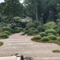 実際訪問したユーザーが直接撮影して投稿した引佐町井伊谷寺龍潭寺の写真