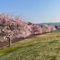 実際訪問したユーザーが直接撮影して投稿した猪崎公園三段池公園の写真