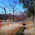 実際訪問したユーザーが直接撮影して投稿した鶴が沢公園梨の木公園の写真