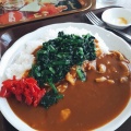 実際訪問したユーザーが直接撮影して投稿した本田カレーカレーハウス とんとんの写真