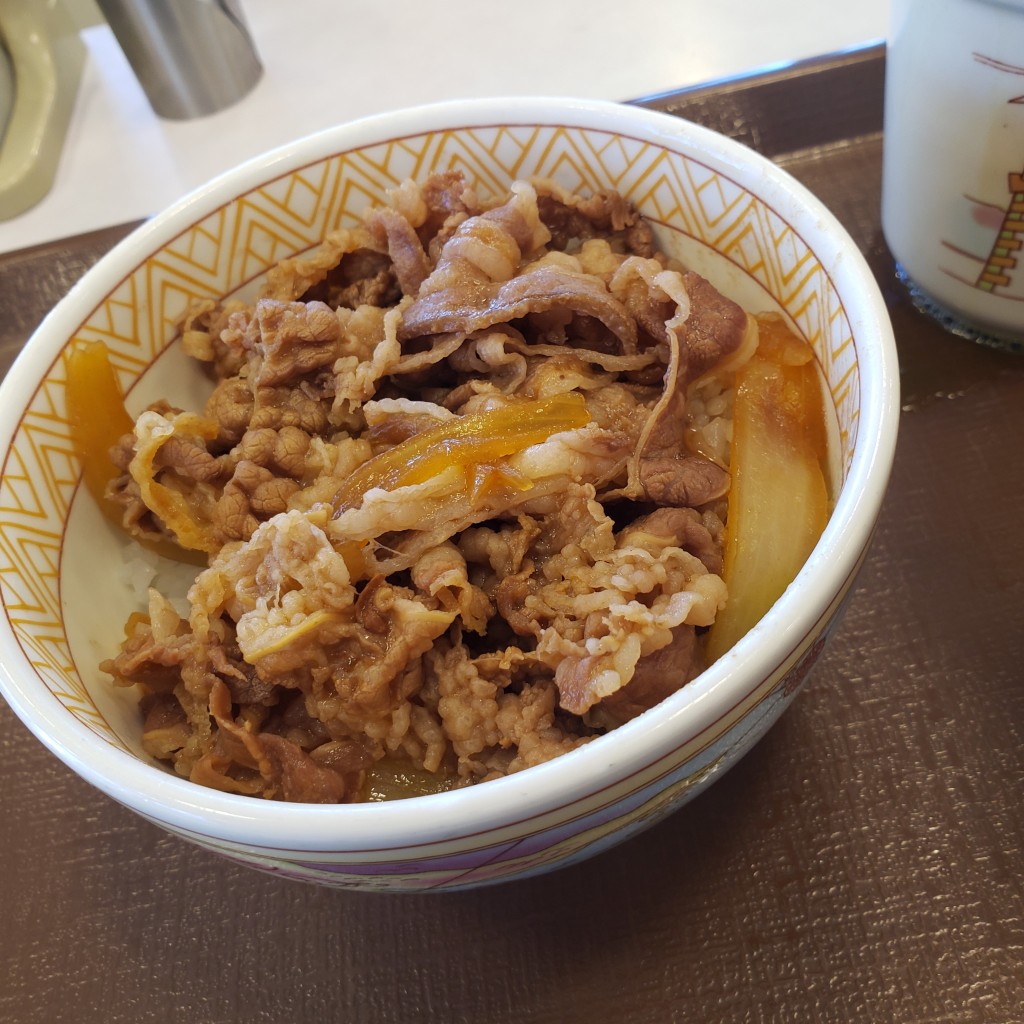 ユーザーが投稿した牛丼ミニの写真 - 実際訪問したユーザーが直接撮影して投稿した南町牛丼すき家 前橋南店の写真