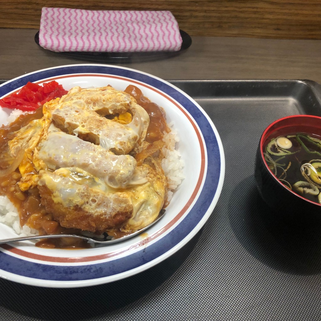 ユーザーが投稿したカレーカツ丼の写真 - 実際訪問したユーザーが直接撮影して投稿した東大井そば名代 富士そば 大井町駅前店の写真