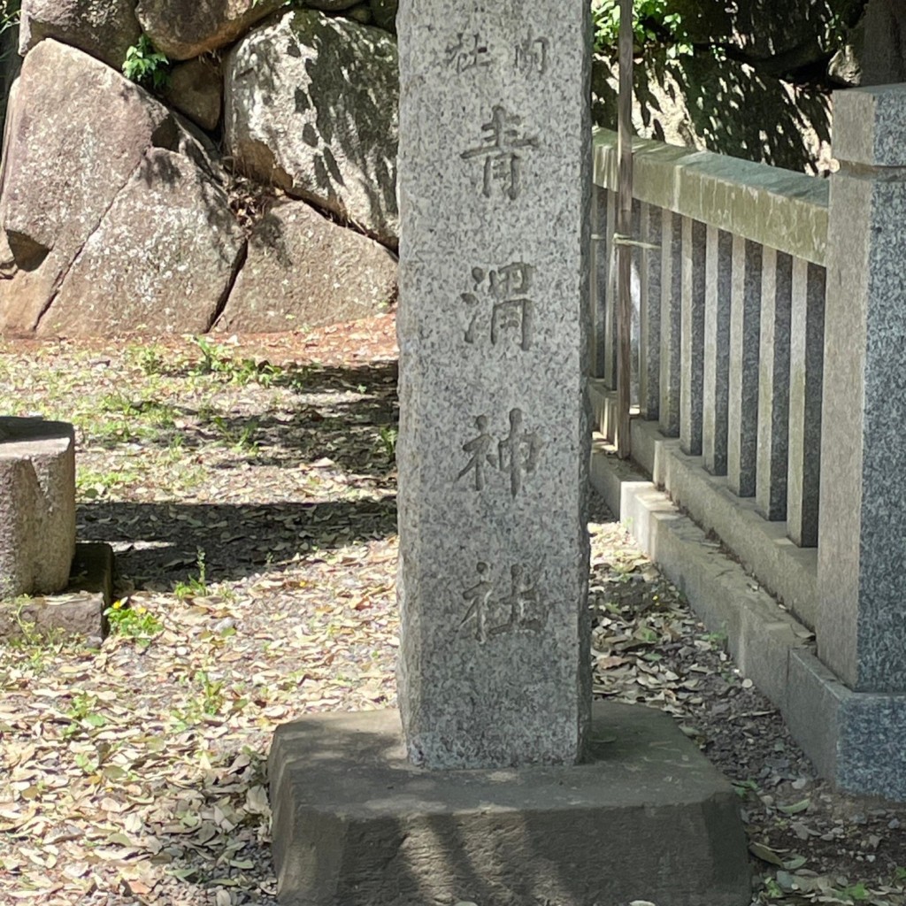 実際訪問したユーザーが直接撮影して投稿した深大寺元町神社青渭神社の写真