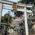 実際訪問したユーザーが直接撮影して投稿した犬山地域名所針綱神社鳥居の写真