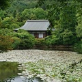 実際訪問したユーザーが直接撮影して投稿した龍安寺御陵ノ下町寺龍安寺の写真