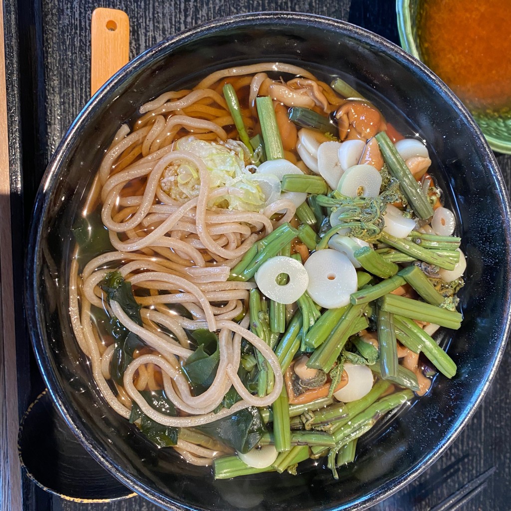 ユーザーが投稿した山菜そばの写真 - 実際訪問したユーザーが直接撮影して投稿した軽井沢そば信州そば処やまへいの写真