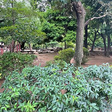 実際訪問したユーザーが直接撮影して投稿した清水公園杉並区立妙正寺公園の写真