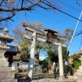 実際訪問したユーザーが直接撮影して投稿した膳所神社膳所神社の写真