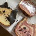 実際訪問したユーザーが直接撮影して投稿した香椎浜ベーカリーねこねこ食パン イオンモール香椎浜店の写真