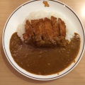 実際訪問したユーザーが直接撮影して投稿した大淀カレー味のガンジスの写真