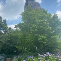 実際訪問したユーザーが直接撮影して投稿した久野町寺牛久大仏の写真