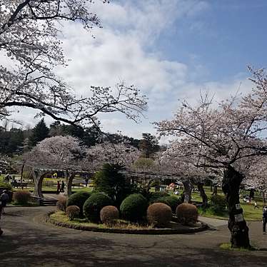 里見公園のundefinedに実際訪問訪問したユーザーunknownさんが新しく投稿した新着口コミの写真