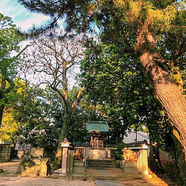 実際訪問したユーザーが直接撮影して投稿した田口神社山田神社の写真