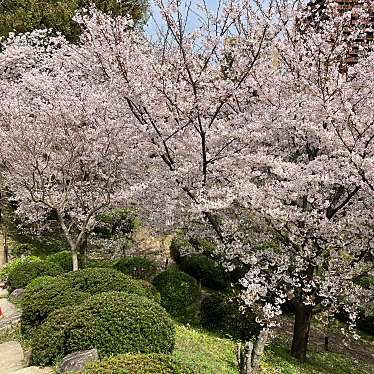 広島県立美術館のundefinedに実際訪問訪問したユーザーunknownさんが新しく投稿した新着口コミの写真