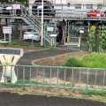 実際訪問したユーザーが直接撮影して投稿した鳴海町公園藤川緑地の写真