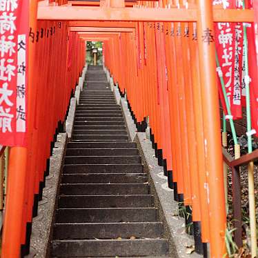 実際訪問したユーザーが直接撮影して投稿した永田町神社山王稲荷神社の写真