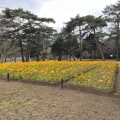 実際訪問したユーザーが直接撮影して投稿した別府公園別府公園の写真