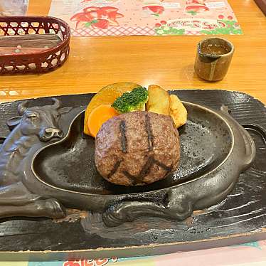 炭焼きレストランさわやか 御殿場プレミアム・アウトレット店のundefinedに実際訪問訪問したユーザーunknownさんが新しく投稿した新着口コミの写真