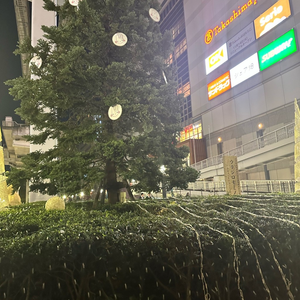 実際訪問したユーザーが直接撮影して投稿した曙町地域名所ウラジロモミノキの写真