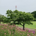 実際訪問したユーザーが直接撮影して投稿した早川公園東山公園の写真