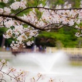 実際訪問したユーザーが直接撮影して投稿した若松町公園南公園の写真