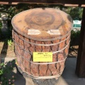 実際訪問したユーザーが直接撮影して投稿した二葉の里神社饒津神社の写真