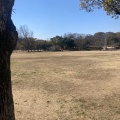 実際訪問したユーザーが直接撮影して投稿した本町公園姫路公園の写真