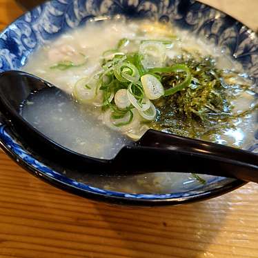 Shantさんが投稿した若葉焼鳥のお店馬刺の店 たぬき/バサシノミセ タヌキの写真