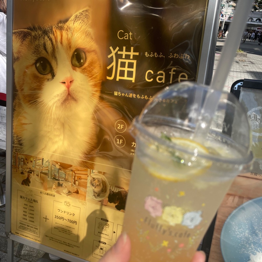ユーザーが投稿したパインレモネードLソーダの写真 - 実際訪問したユーザーが直接撮影して投稿した裏寺町カフェFluffy's cafeの写真