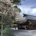 実際訪問したユーザーが直接撮影して投稿した神宮神社熱田神宮の写真