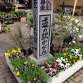 実際訪問したユーザーが直接撮影して投稿した神山道の駅道の駅 かなんの写真