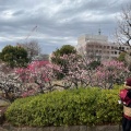 実際訪問したユーザーが直接撮影して投稿した代田公園羽根木公園の写真